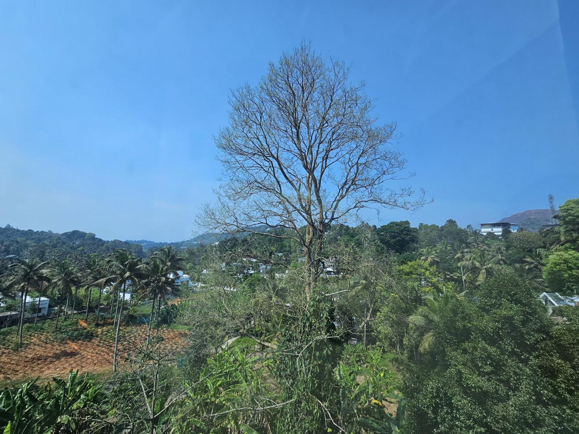 Mist Residency Hotel Kattappana ภายนอก รูปภาพ