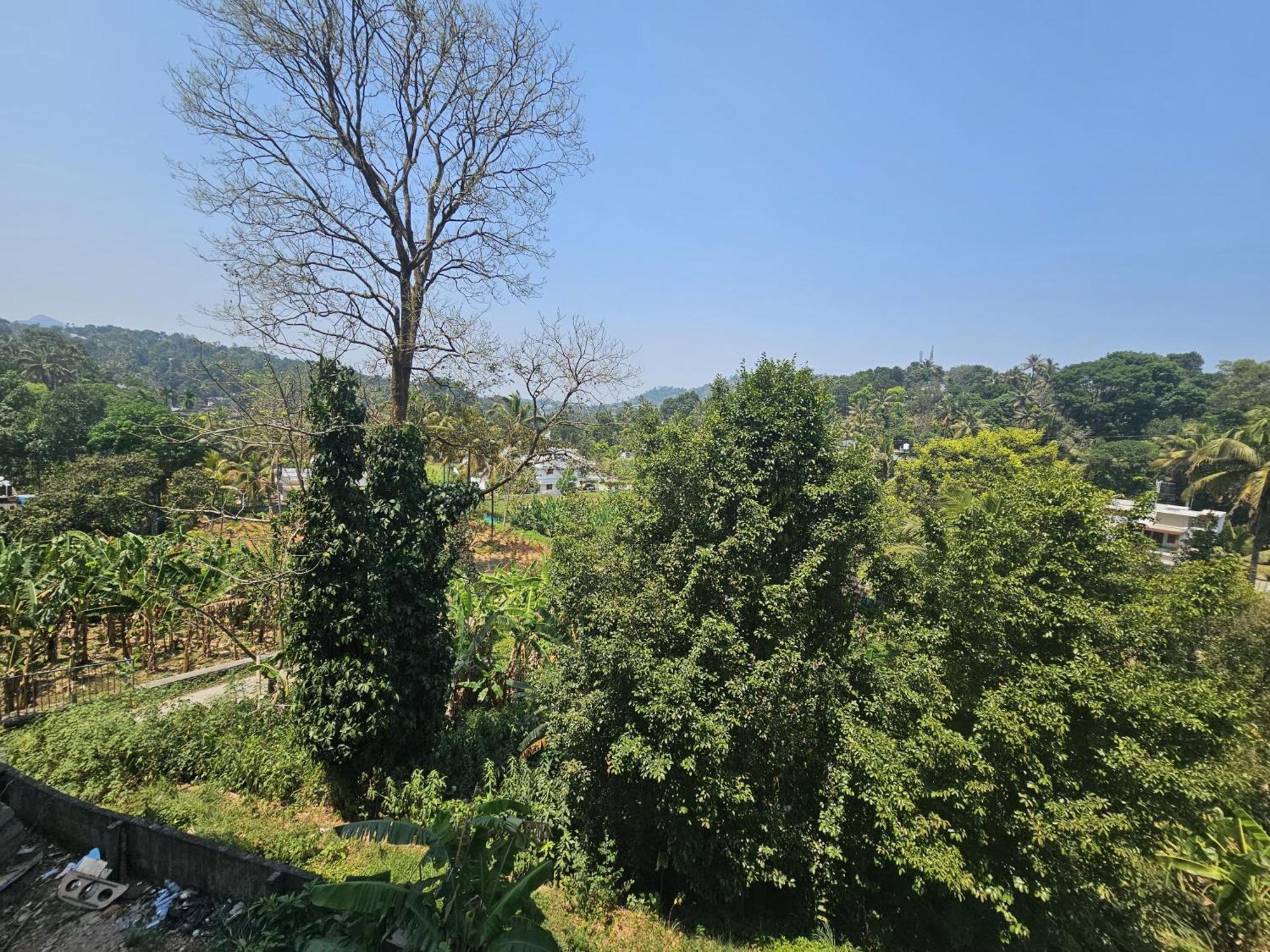 Mist Residency Hotel Kattappana ภายนอก รูปภาพ